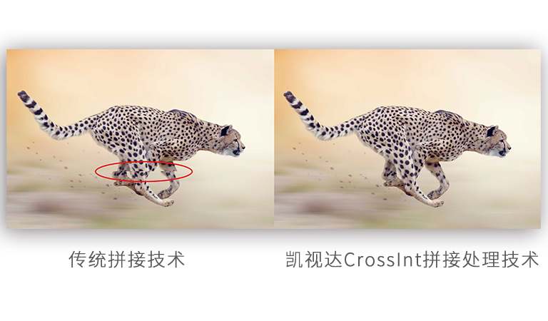 长征娱乐 | 独立电影佳作与破圈之道