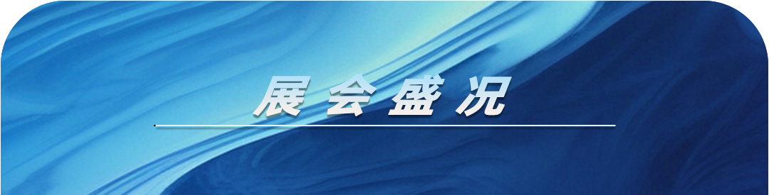 长征娱乐 | 独立电影佳作与破圈之道